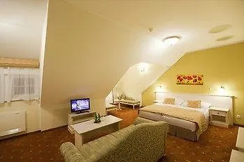 ****  Spa Hotel Cajkovskij Karlovy Vary Czech Republic